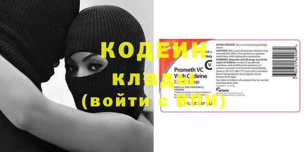 эйфоретик Няндома