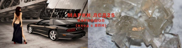 прущие грибы Пересвет