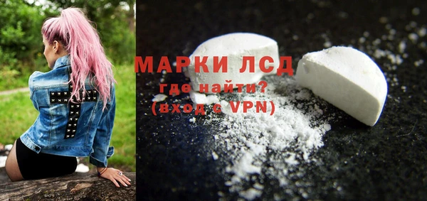 прущие грибы Пересвет