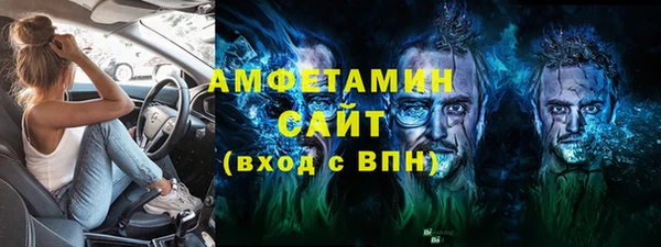 прущие грибы Пересвет