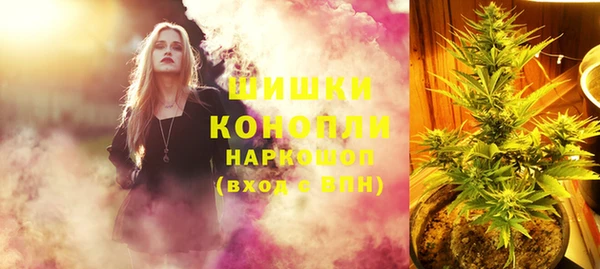 трава Болотное