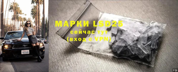 прущие грибы Пересвет
