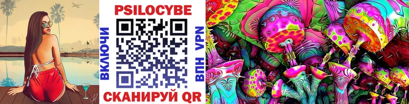 блэк спрут ссылка  сколько стоит  Кизляр  Псилоцибиновые грибы мицелий 