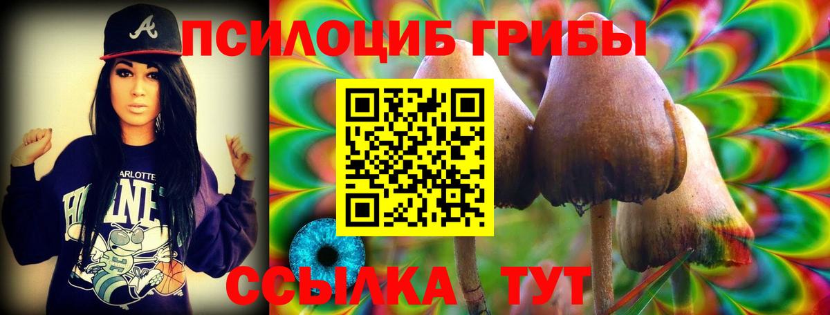 Галлюциногенные грибы мицелий Кизляр