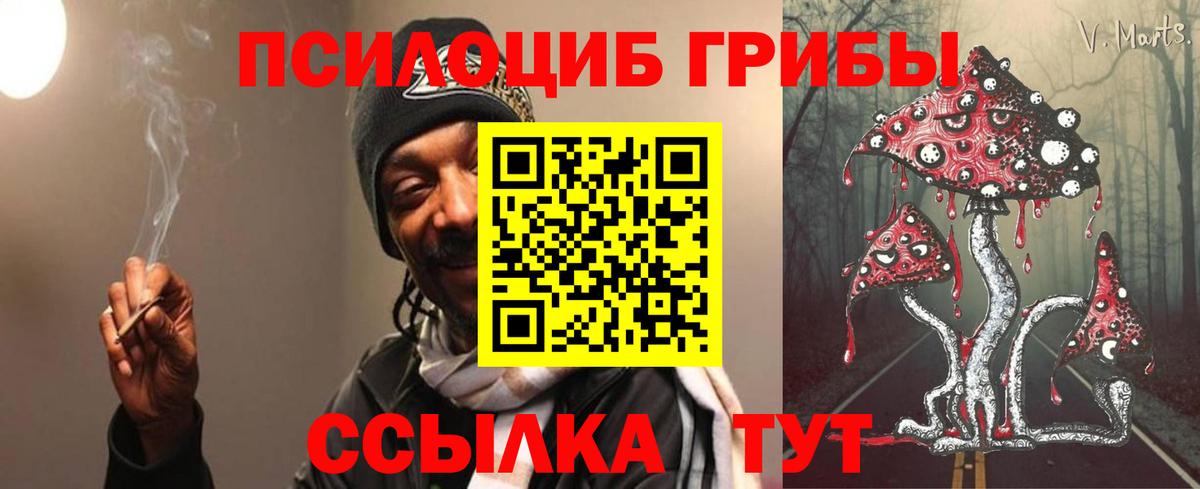 Кизляр  Галлюциногенные грибы MAGIC MUSHROOMS  Вход с VPN 